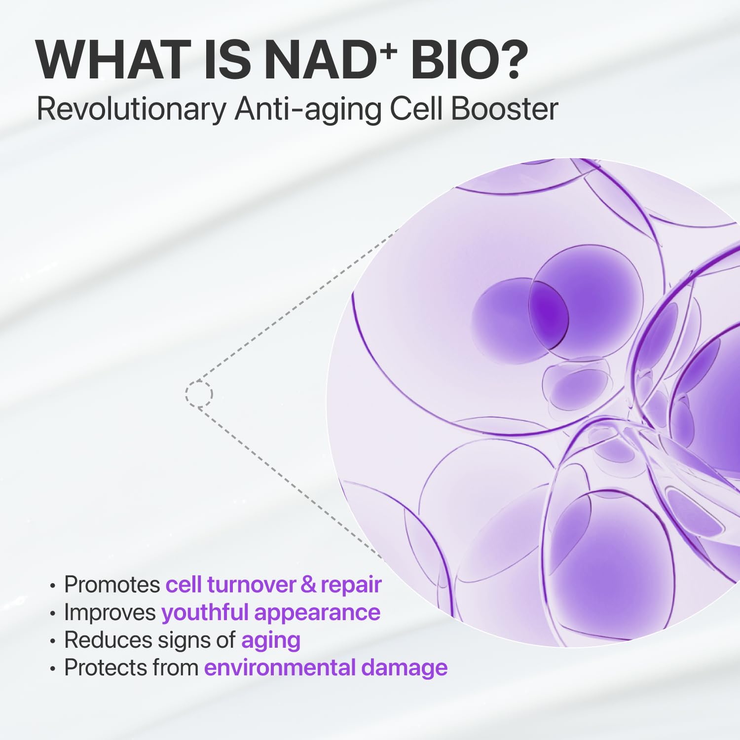 numbuzin - No.9 NAD Bio Lifting-sil Essence [50ml] - Wardobie